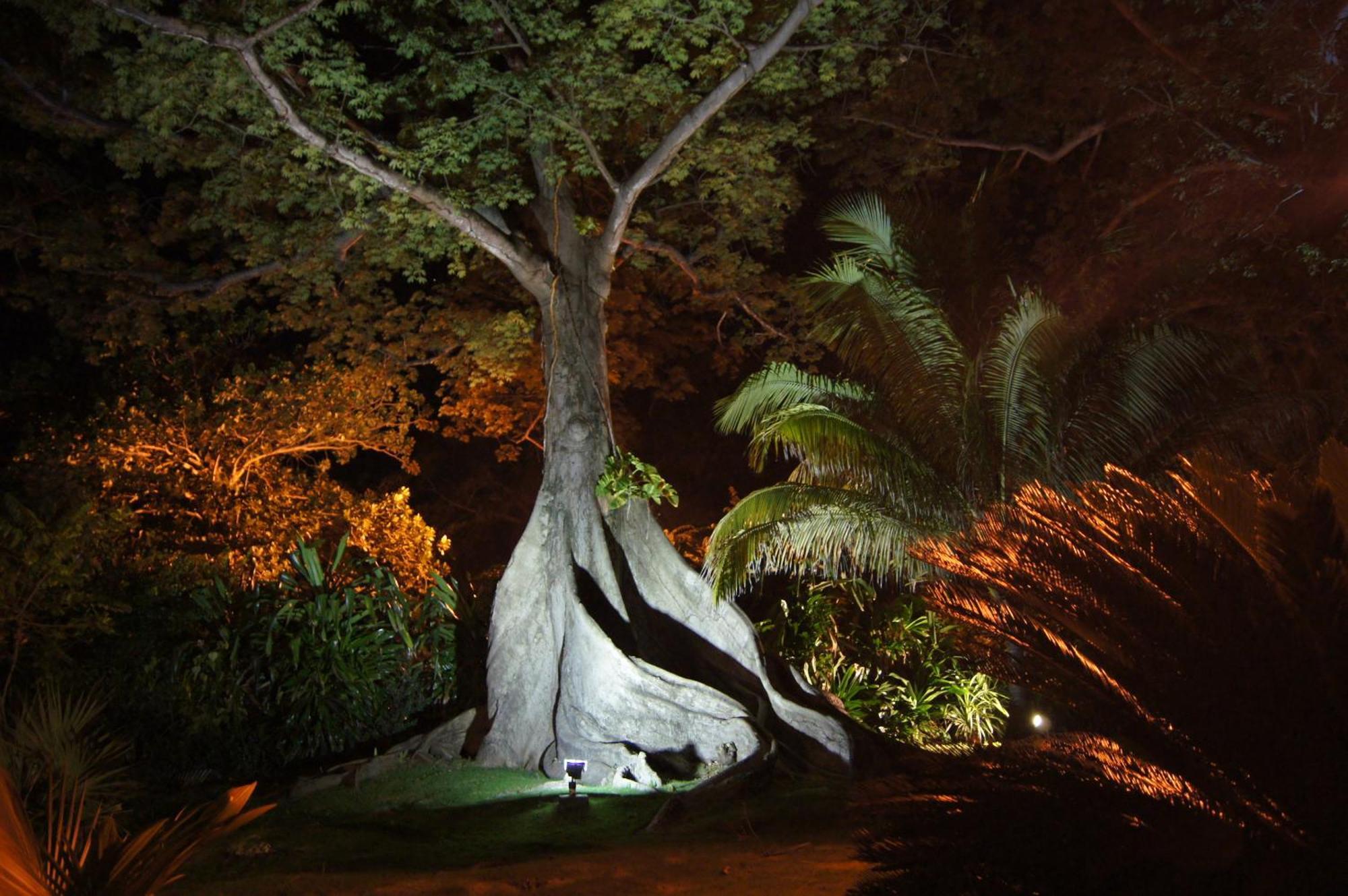 Llantrissant Beachcliff Villa Negril Bagian luar foto